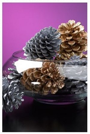 闪闪发光的假日Pinecones.“height=